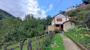 Últimas incorporaciones. Propiedad ES33520