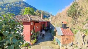 Últimas incorporaciones. Propiedad ES33563