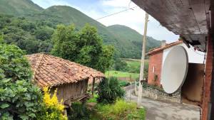 Últimas incorporaciones