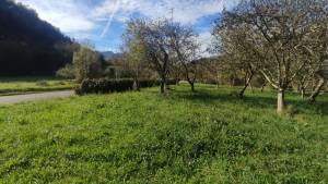 Últimas incorporaciones