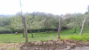 Últimas incorporaciones. Propiedad ES33215