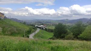 Últimas incorporaciones. Propiedad ES33216