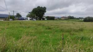 Últimas incorporaciones. Propiedad ES33439