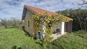 Últimas incorporaciones. Propiedad ES33599